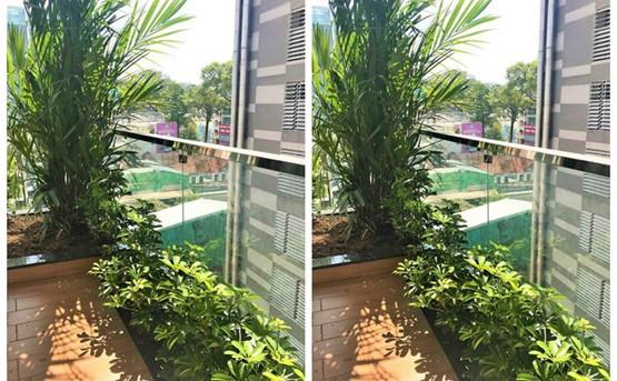 serviced apartment for rent in district 3 D399263 (7)